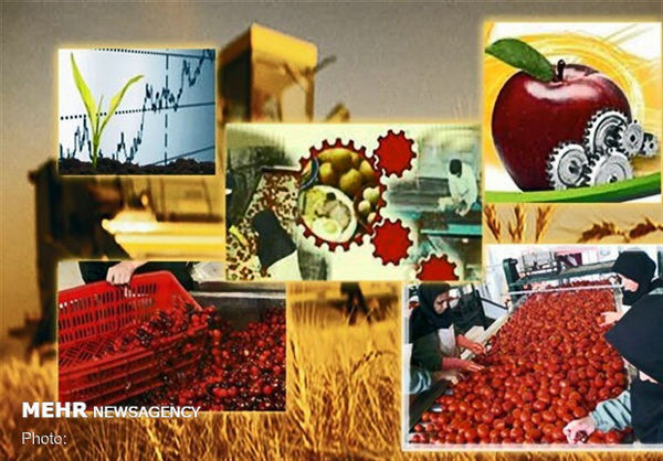 موانعِ سخت پیش روی تولید در گلستان/نیازمند اصلاح قوانین هستیم