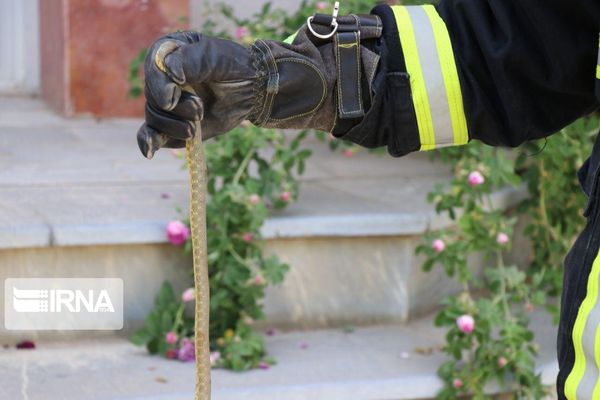 گرمای هوا، مارها را روانه خانه گنبدی‌ها کرد
