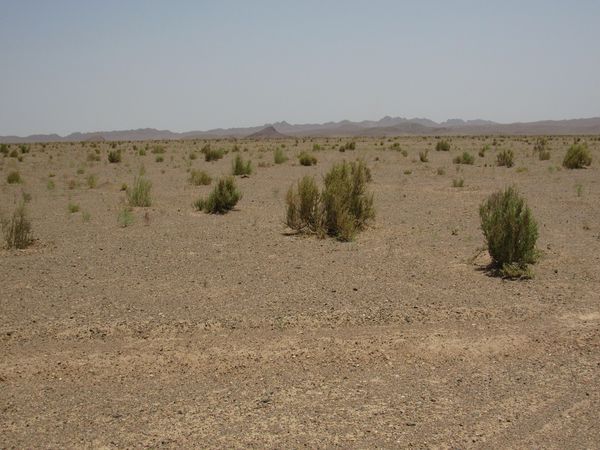 حدود 300 هزار هکتار از اراضی گلستان در معرض بیابانی شدن است
