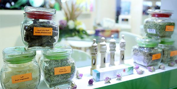 راه اندازی دهکده گیاهان دارویی در گالیکش