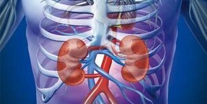 چطور بفهمیم بیماری «کلیه» داریم؟
