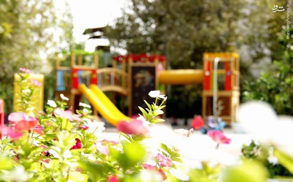 شهریه 26 میلیون تومانی مهدکودک همسایه رییس‌جمهور/ لاک‌پشت تراپی و «پول پارتی» برای پولدارهای کوچک تهرانی +عکس