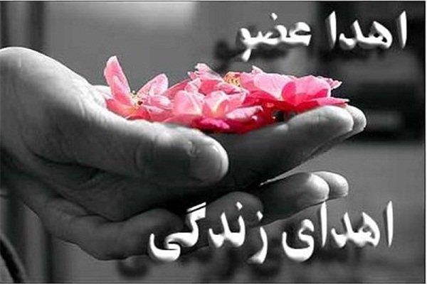 اهدای عضو جوان گنبدی جان ۴ بیمار را نجات داد