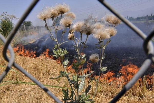 ۸ میلیارد ریال سرمایه گلستان دود شد