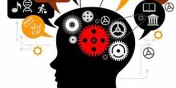 حمایت ۱۰۰ درصد از ایدهها خلاقانه و فناور توسط پارک علم و فناوری