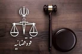 فیلم/ دستگیری دو سوئدی با محموله مواد مخدر
